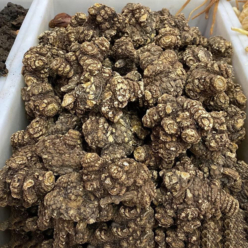 Generic Rhizoma CHUANXIONG Chuanxiong Ligusticum Chuanxiong Hort Traditional Chinese Medicine Chuanqiong Sichuan Dome,chuanxiong Rhizome; Rhizoma Ligustici Wallichi, (1000 Grams /2.20 lbs)