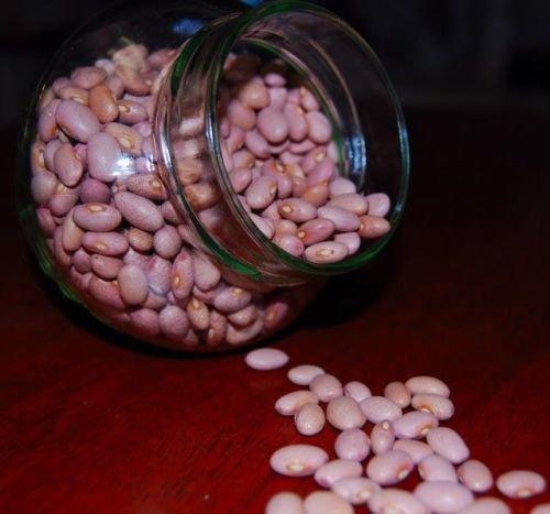 wbut2023 100 PINK BEANS SEEDS, Habichuelas Rosadas,Popular in Caribbean countries
