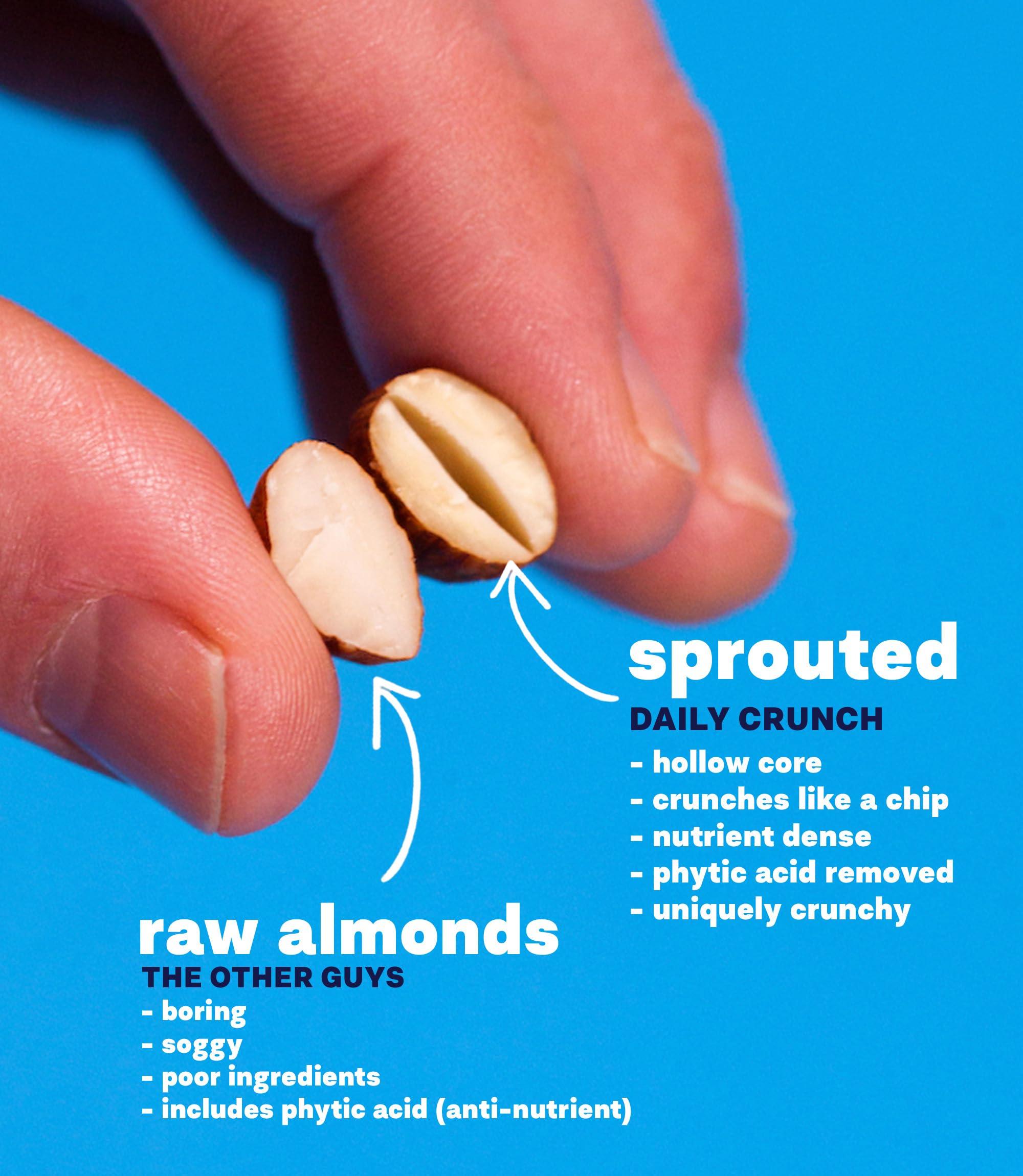 Daily Crunch Daily Crunch Sprouted Almonds - 5 Ounce Bags (Original Sprouted, Single Bag - 5 Ounces)