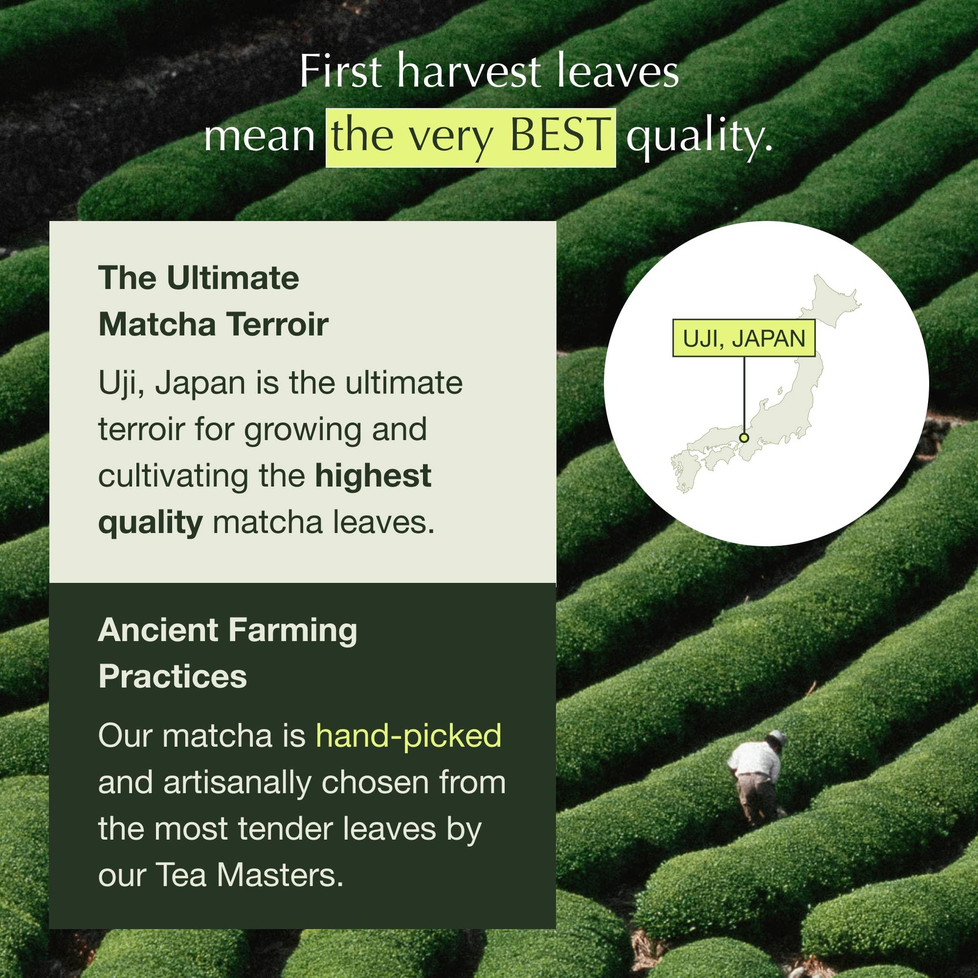 Encha Encha Ceremonial Grade Matcha Powder, Organic First Harvest Japanese Matcha Green Tea Powder, Matcha Tea From Uji, Japan (30g/1.06oz)