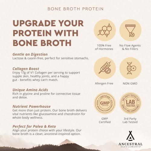 Ancestral Supplements Ancestral Supplements Grass Fed Protein Powder, Chocolate, Beef Bone Broth Based w/Beef Organs & Organic Mushrooms, Gut Health Support, High Protein Supplement, 20g Protein Per Serving, 30 Day Supply