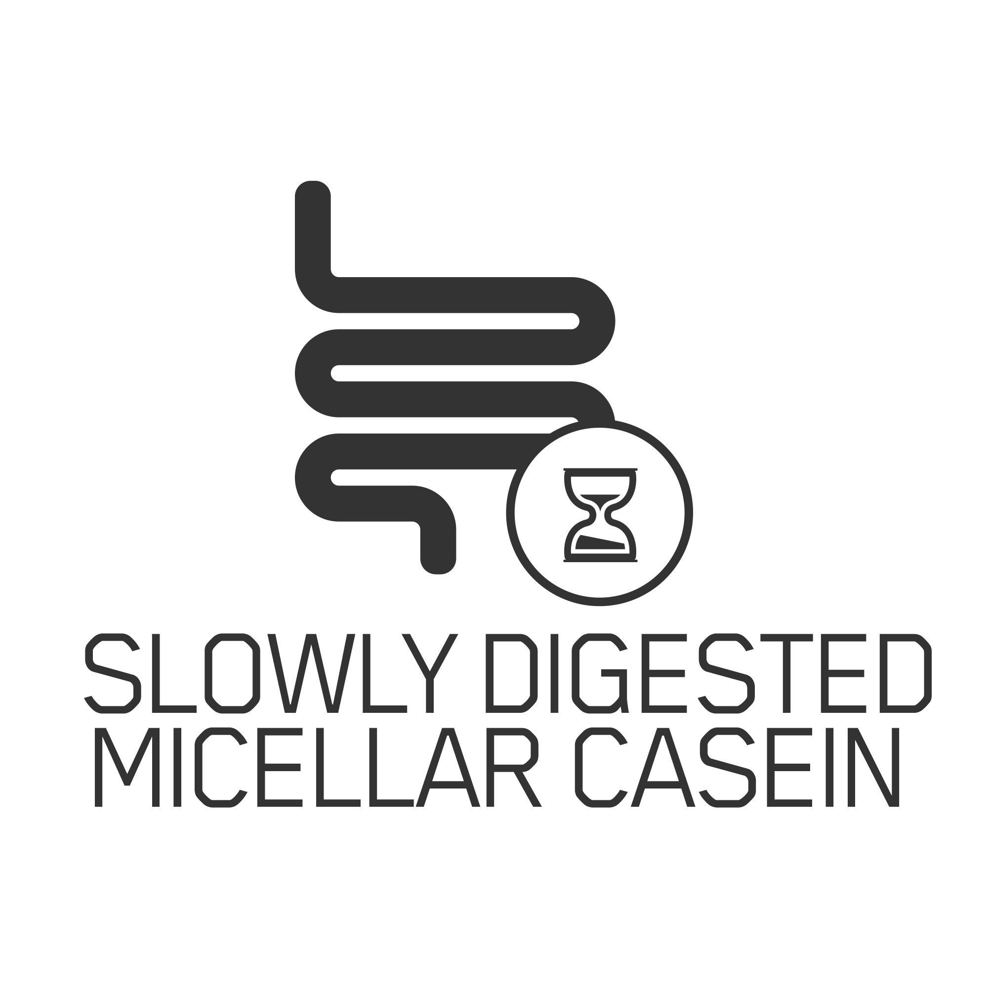 Optimum Nutrition Optimum Nutrition Gold Standard 100% Casein Protein Powder, Chocolate Supreme, 2 Pound