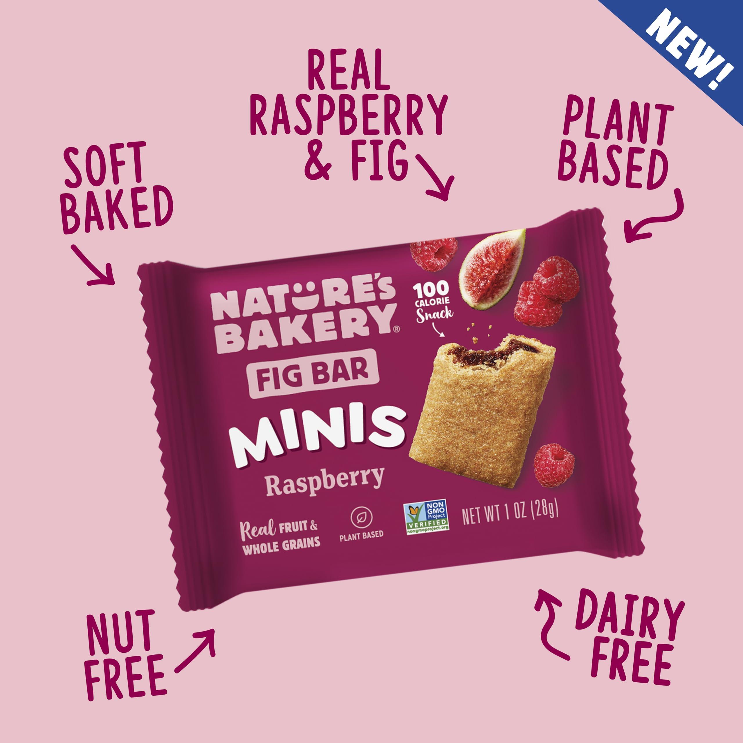 Nature\'s Bakery Nature\'s Bakery Fig Bar Minis, Raspberry, Whole Grain, Vegan Friendly, Kosher, Non-GMO, 10 Ounce (Pack of 6)