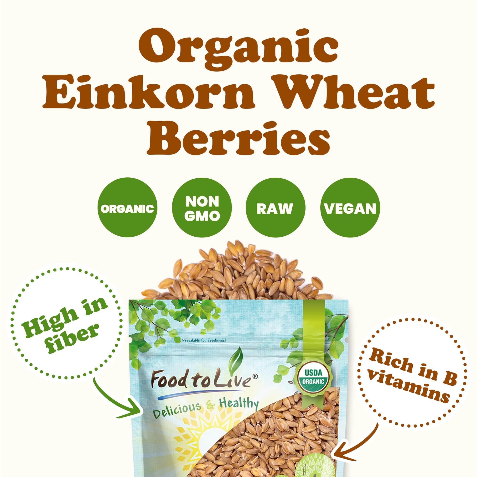 Food to Live Food to Live - Organic Einkorn Wheat Berries, 12 Ounces Non-GMO, Good Source of Protein, Fiber, and Vitamins. Low-glycemic Index. Kosher