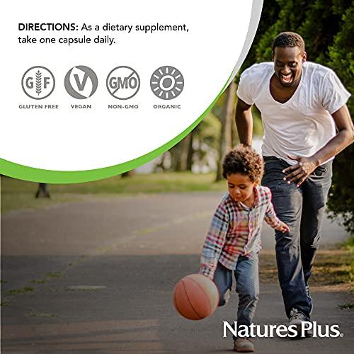 Nature's Plus NaturesPlus Source of Life Garden Vitamin K2-60 Vegan Capsules, Pack of 2 - Bone Support - Certified Organic, Non-GMO, Gluten Free - 120 Total Servings