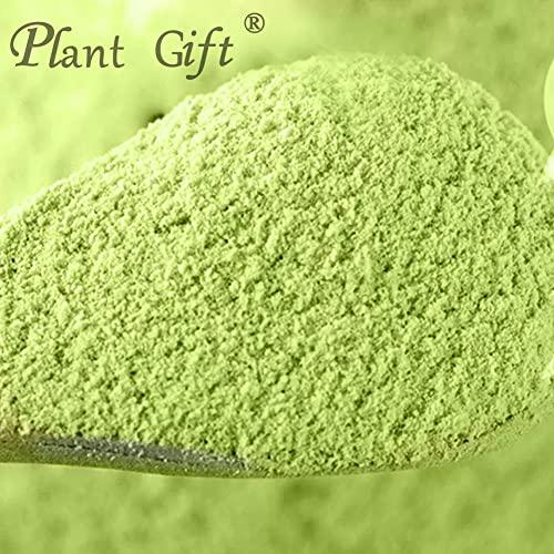 Plant Gift Plant Gift 100% Pure Celery Powder Powder Natural Celery Powder Flour, Great Flavor for Drinks, Adds Flavor and Taste Non-GMO Powder, No Filler, No additives 100G/3.25oz