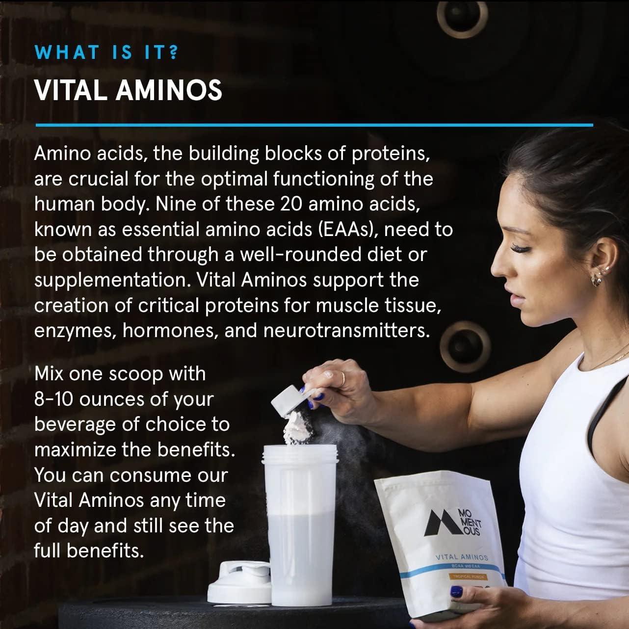 Momentous Momentous Vital Aminos Powder Supplement - BCAA & EAA, Tropical Punch - NSF Certified, GMO-Free, Gluten Free, 30 Servings (Package May Vary)