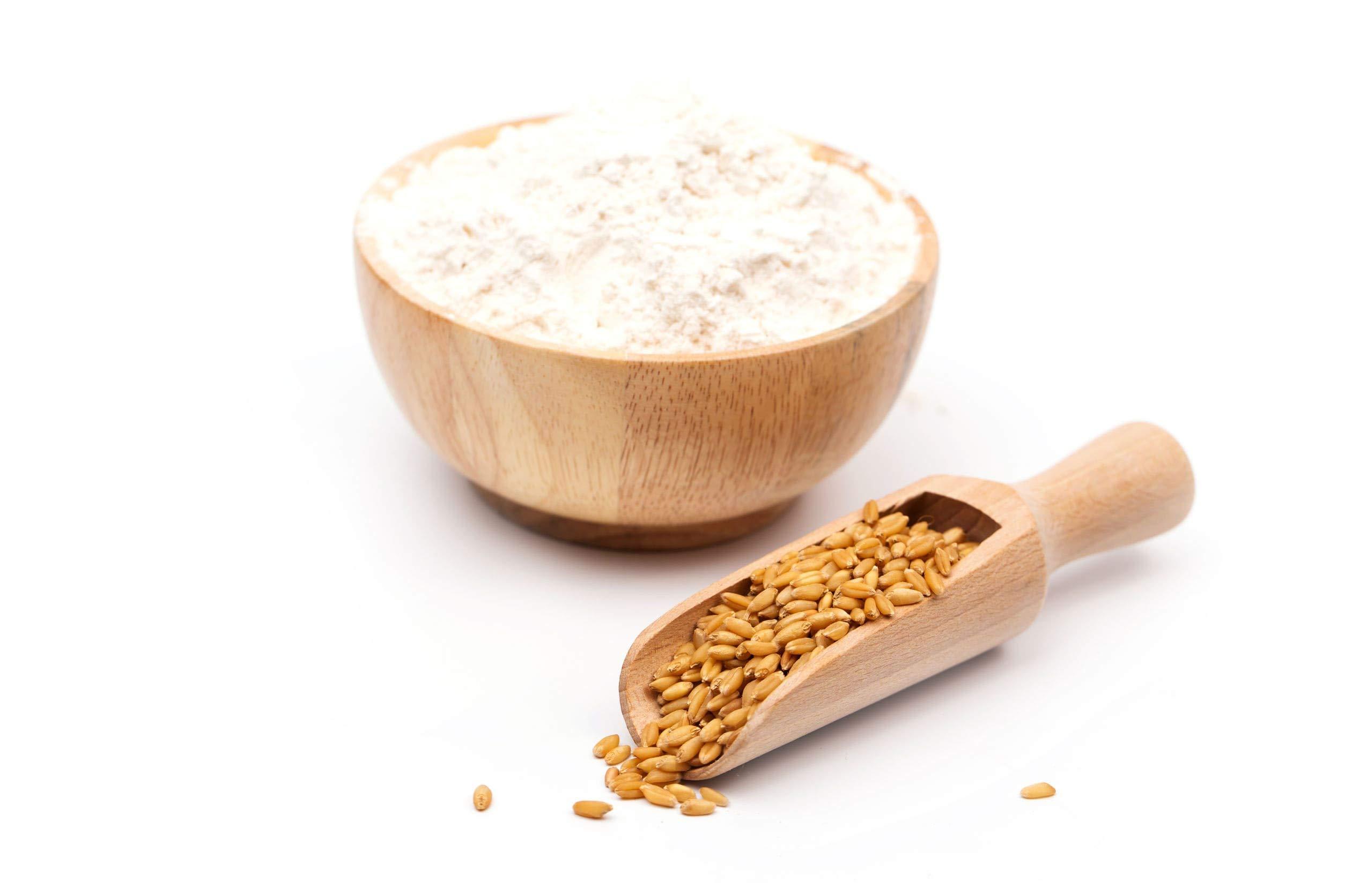 Food to Live Food to Live Organic Oat Groats, 5 Pounds 100% Whole Grain, Non-GMO Seeds, Kosher, Raw, Non-Irradiated, Vegan, Bulk, Low Glycemic, Rich in Protein, Fiber, Copper and Manganese