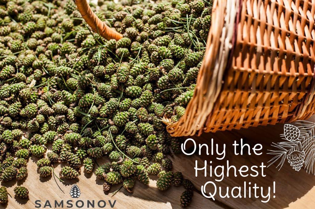 Samsonov and Partners Pine Cone Jam Preserves with Baby Pine Cones 480g/ 16.93 oz by Samsonov and Partners