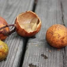 NA Tol fruit, toll fruit, Landolphia heudelotii fruit, (Madd fruit, Maad fruit, Saba fruit family) single serving pack