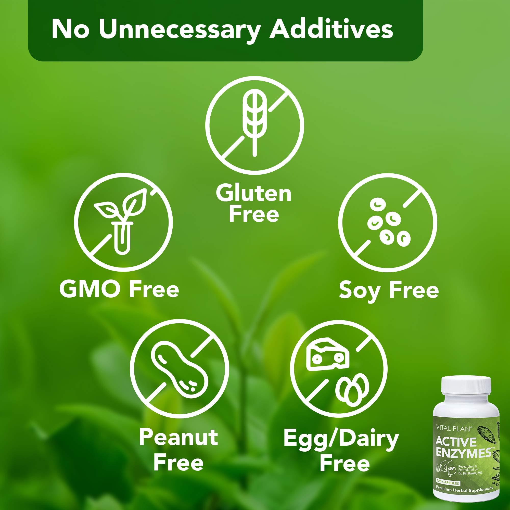 Vital Plan Vital Plan Active Enzymes Supplement by Dr. Bill Rawls - Digestive Enzymes for Gut Health & Digestion - Protease, Bromelain, Lactase, Amylase & Lipase (120 Capsules)