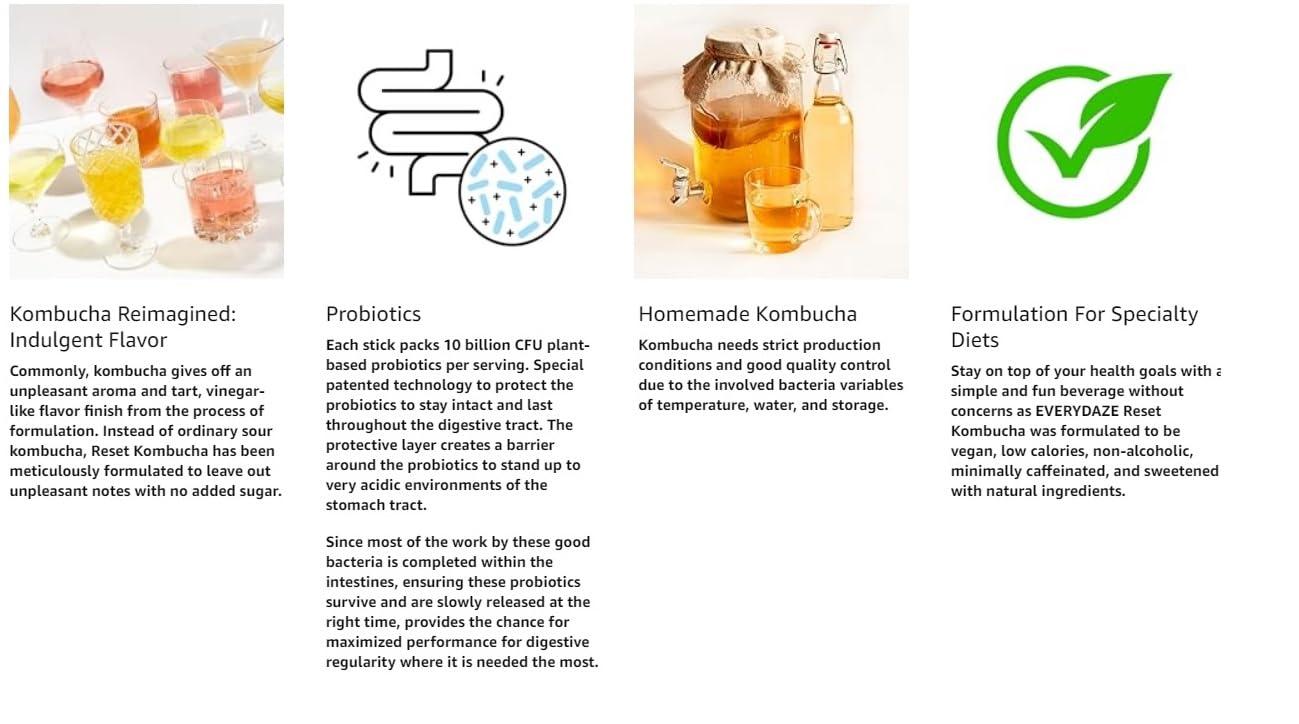 E EVERYDAZE Everydaze Reset Kombucha Tea Powdered Beverage Mix | 10 Sticks | Prebiotics + Probiotics | Vegan | No Added Sugar, Gluten Free, Sparkling Powder Drink Pack (Strawberry Kiwi)
