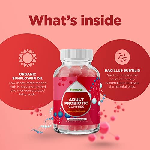Phytoral Healthy Gut Probiotic Gummies for Adults - Organic Probiotics for Gut Health Upset Stomach Relief and Immune Support - Digestive Health Chewable Probiotic Gummies for Women and Men - 5 Billion CFU
