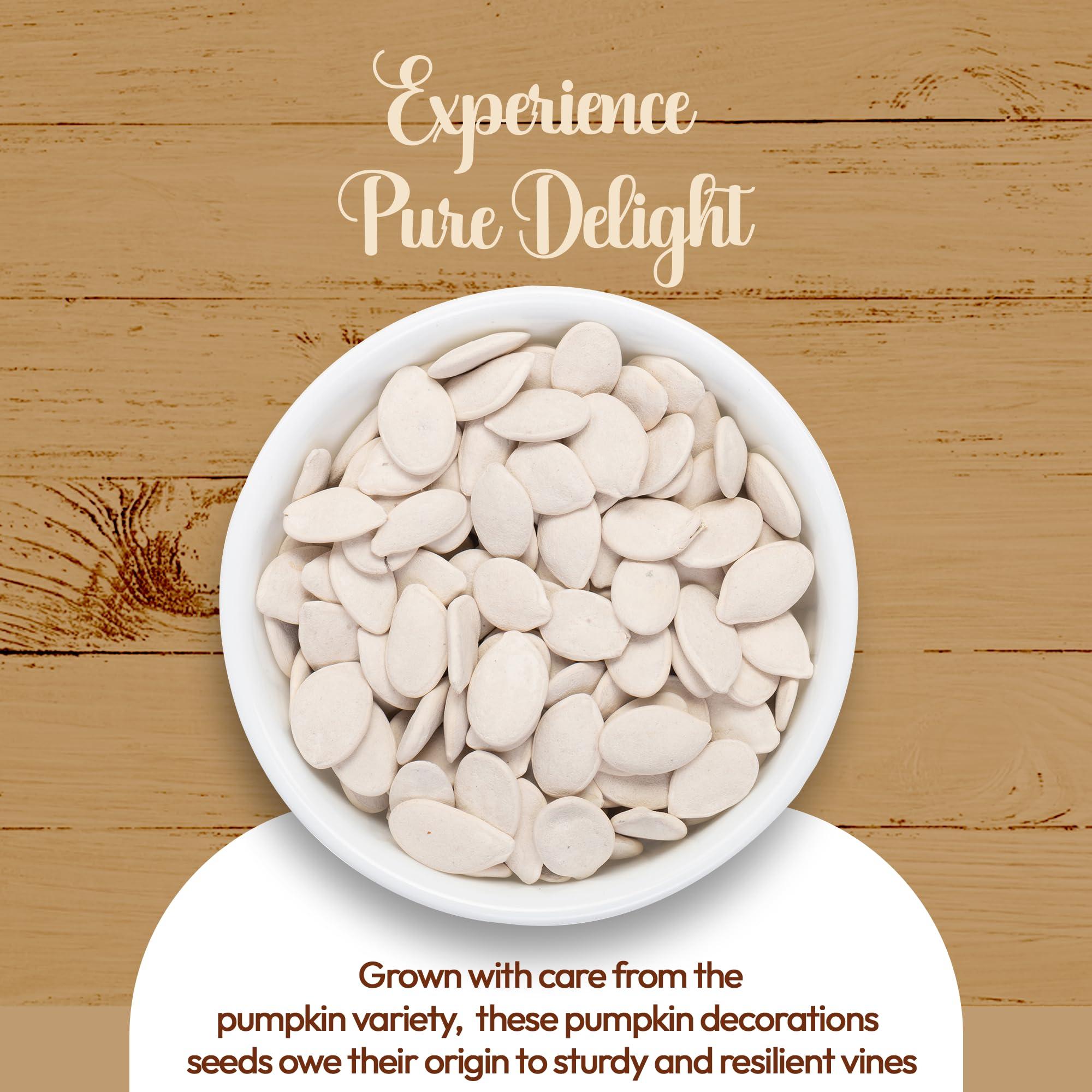 NY Spice Shop NY Spice Shop Lady Nail Pumpkin Seeds Roasted Salted 1 Pound Salted Pumpkin Seeds in Shell - Pepitas Roasted Salted - Fresh Healthy Snacks Pumpkin Seeds Roasted Salted, Great Source of Plant Protein