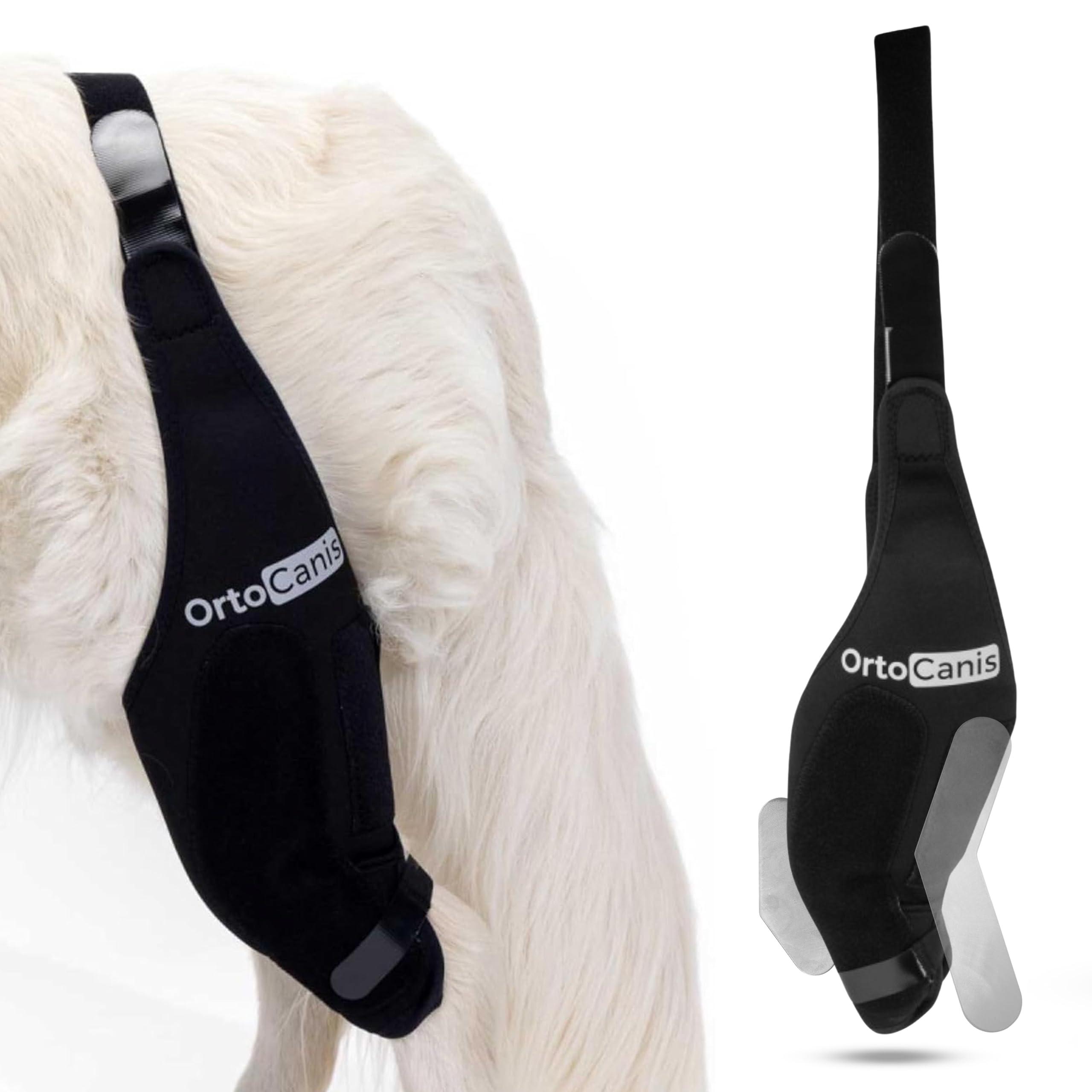 Ortocanis Ortocanis Dog Knee Brace for Torn Acl Hind Leg, Ligament Rupture and Patella Luxation - Dog Acl Knee Brace - Dog Braces for Back Leg for Support - Dog Back Leg Support Brace (Size S, Left Leg)