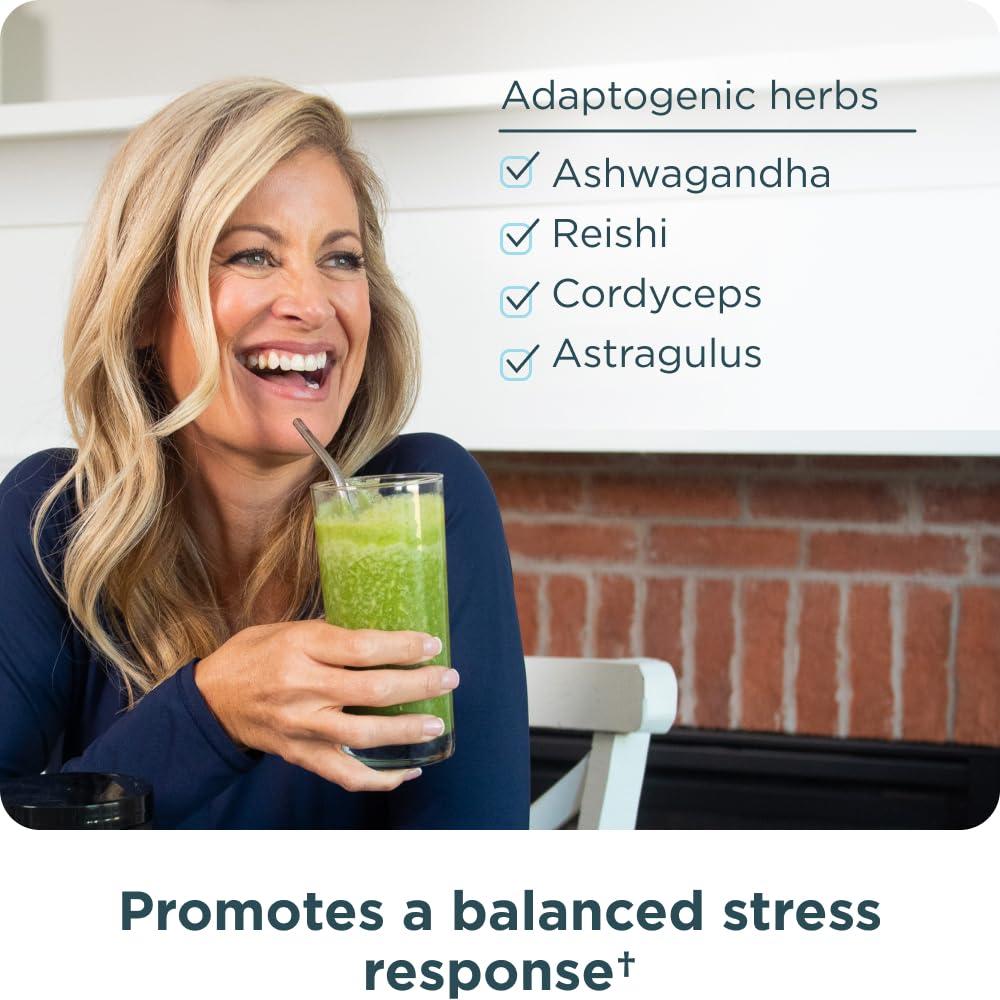 Ancient Nutrition Super Greens Powder by Ancient Nutrition, Organic Superfood Powder with Probiotics Made with Spirulina, Chlorella, Matcha, and Digestive Enzymes, 25 Servings, 7.5oz