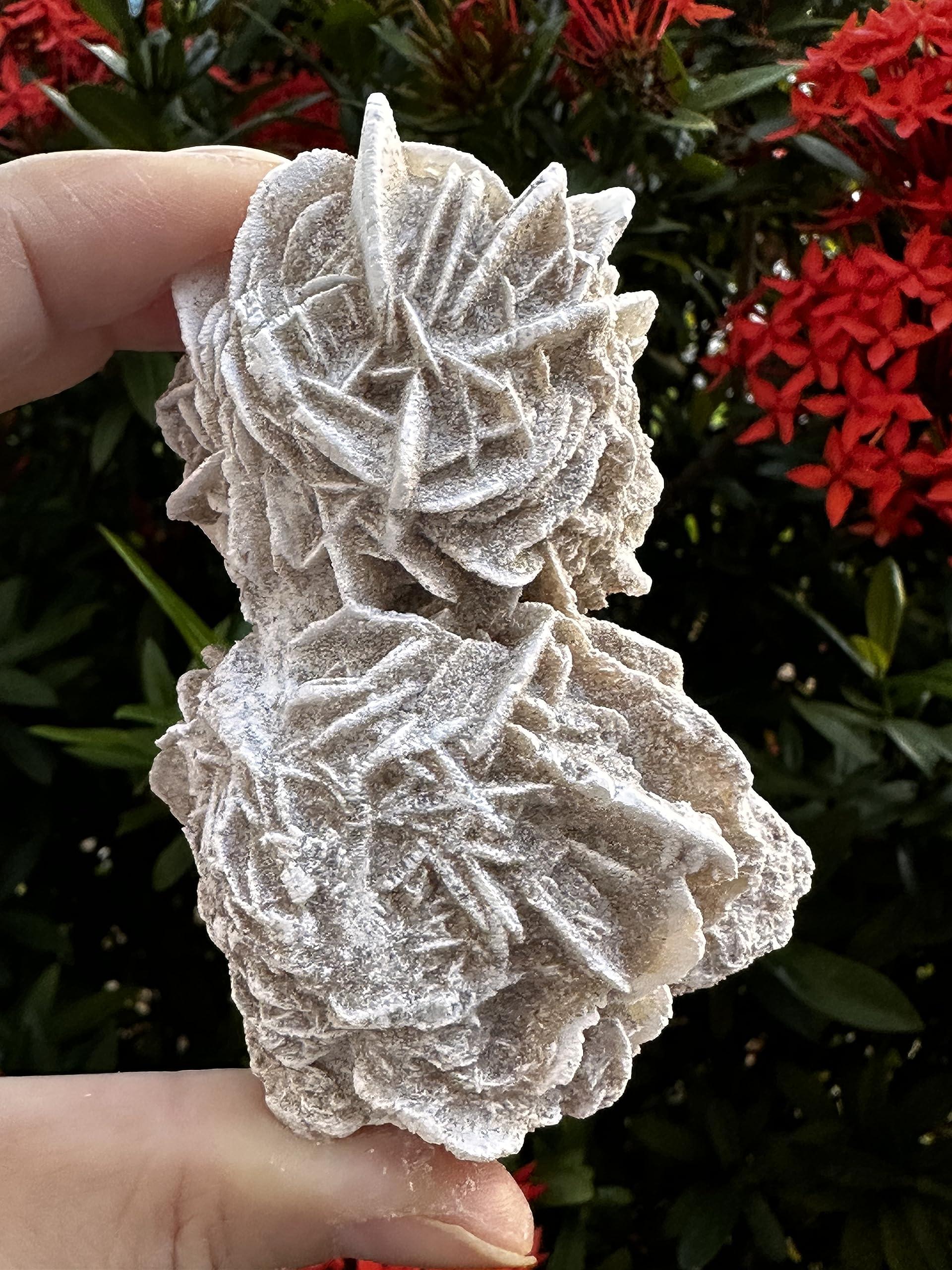 GAF TREASURES Large Desert Rose Cluster, Natural Desert Rose Selenite Stones, Desert Gypsum Rose, Raw Selenite Rose Crystal, Rose Rock, Sand Rose (0.3-0.5 lb)