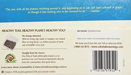Celestial Seasonings Celestial Wellness Tea, Sleepytime Sinus Soother0-Count (6x20 Bag )