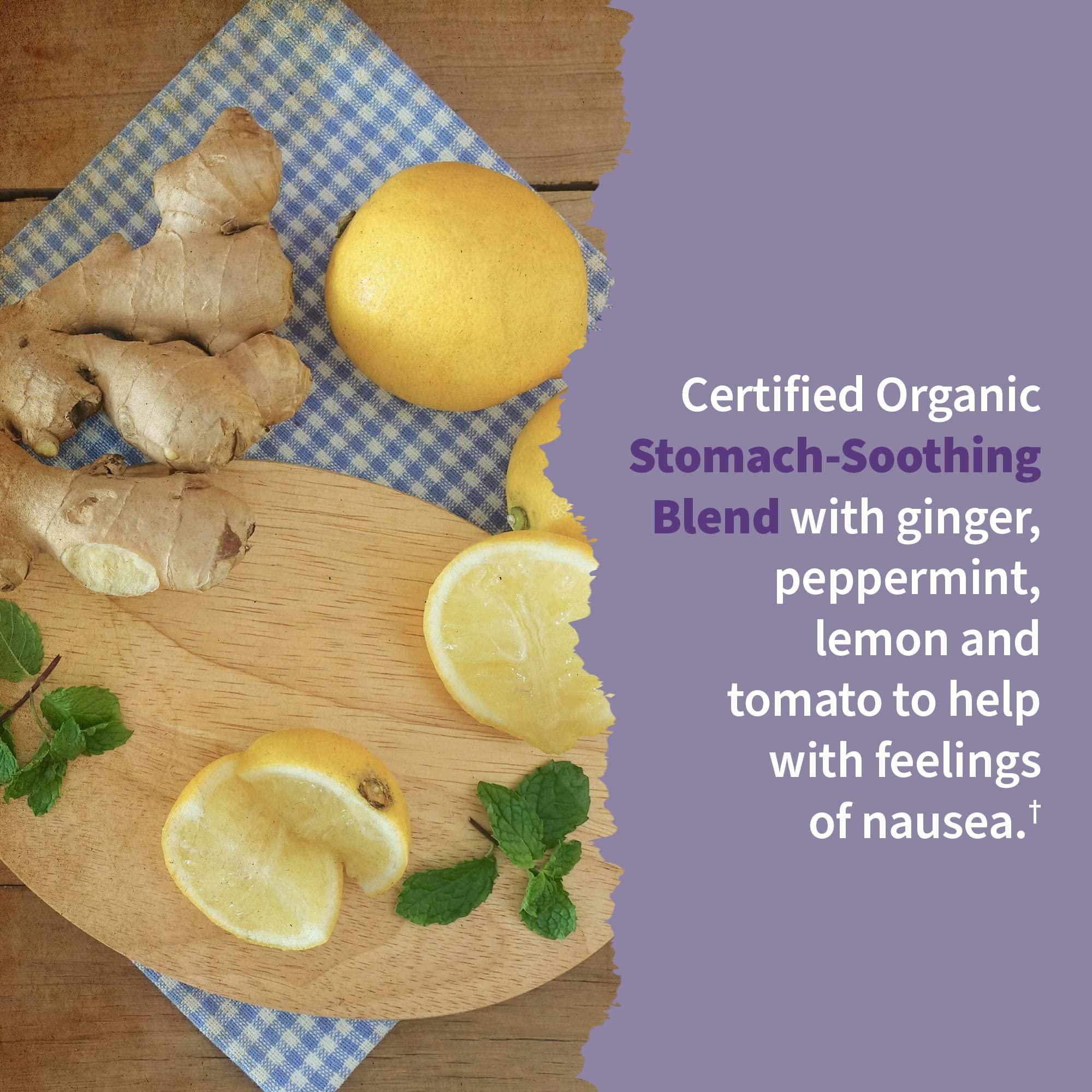 Garden of Life Garden of Life Organics Womens Prenatal Multivitamin with Vitamin D3 & Prenatal DHA Omega 3 Fish Oil - Minami Natural Prenatal, 60 Softgels