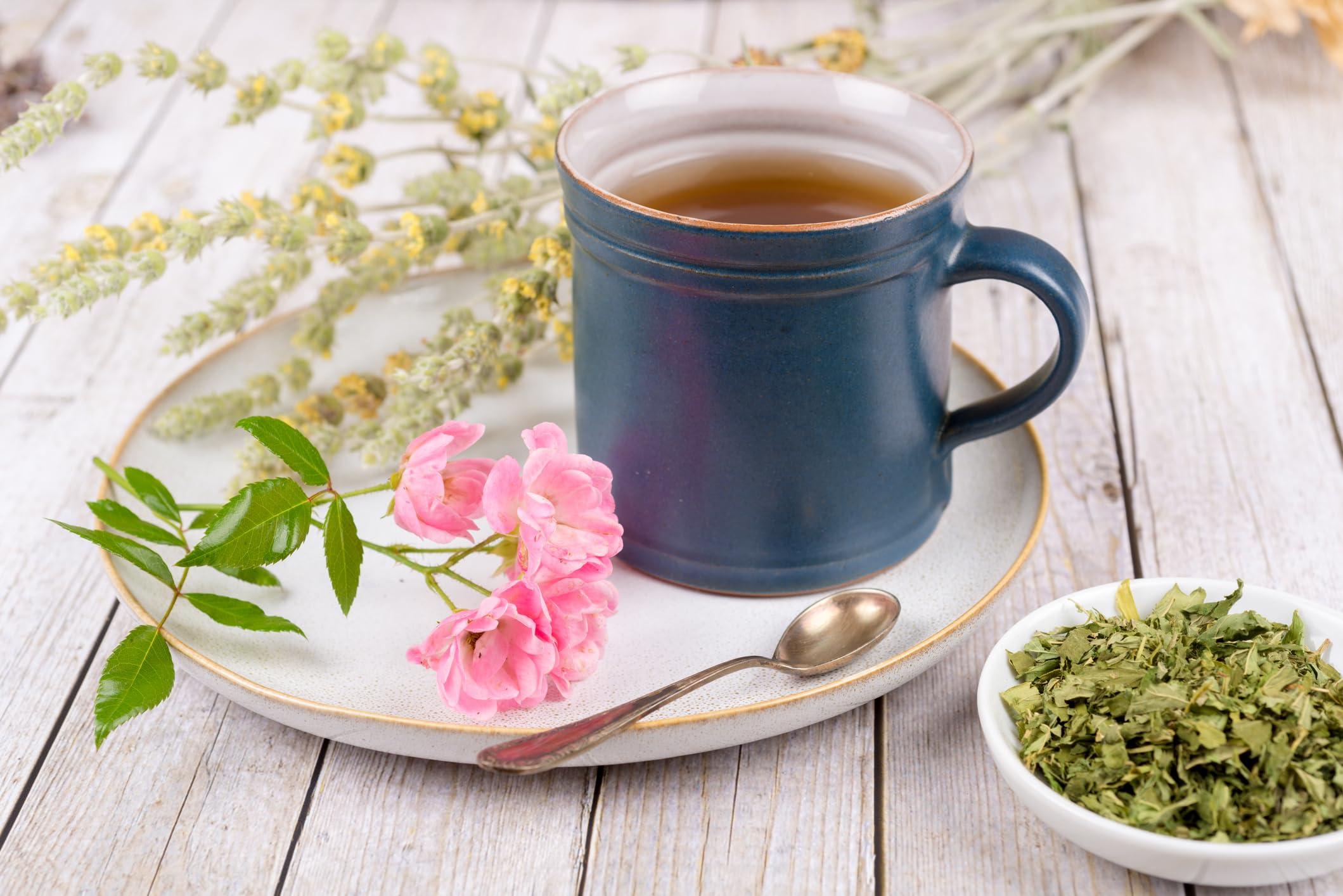 Solo Therapy Blue Vervain Herb Cut and Sifted - Blue Vervain Tea Resealable Bag - Blue Vervain Leaf 56 grams - Verbena hastata Premium Quality (Blue Vervain Herb)