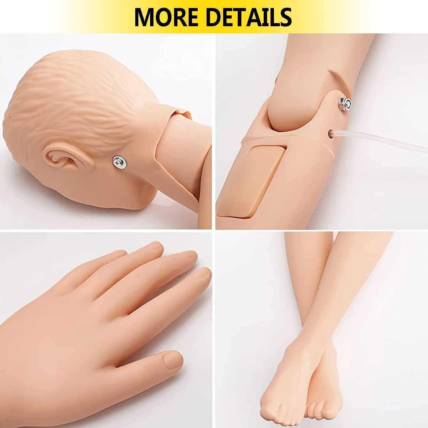 HIMFL Demonstration Human Manikin,Male and Female Nursing Manikin Life Size Patient Care Manikin for The Cure of The Patient Didactic Material in