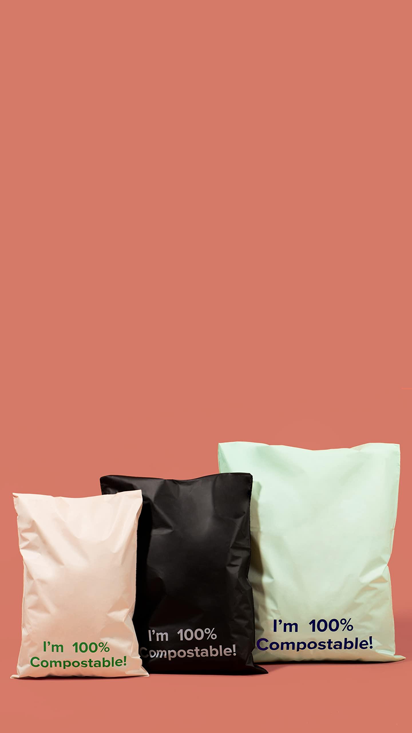 Tishwish Tishwish Stock Compostable Mailer (Standard (300x420mm / 11.8x16.5 inches), Teal)