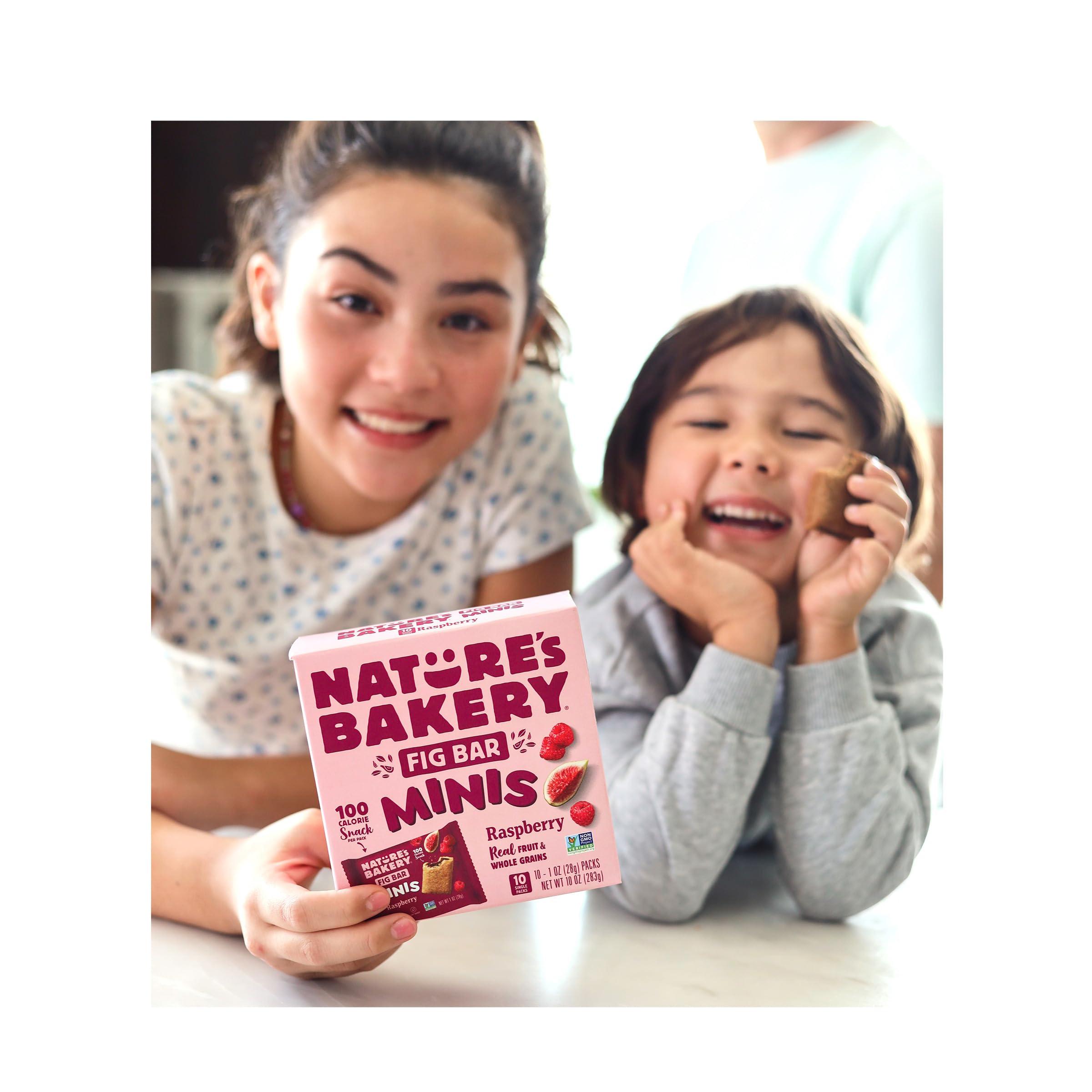 Nature\'s Bakery Nature\'s Bakery Fig Bar Minis, Raspberry, Whole Grain, Vegan Friendly, Kosher, Non-GMO, 10 Ounce (Pack of 6)