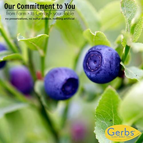GERBS Gerbs Dried Cape Cod Blueberries 10 LBS Bulk Case