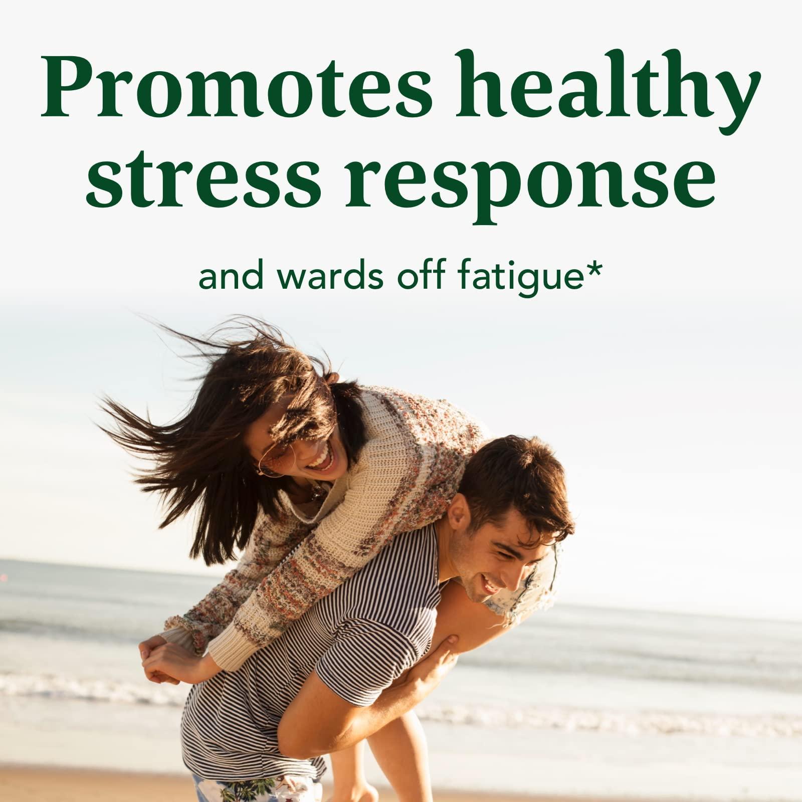 MegaFood MegaFood Adrenal Strength - Sensoril Ashwagandha, Vitamin C, fermented Magnesium Glycinate, Rhodiola Rosea, Reishi Mushroom & Food Blend - Supports a Normal Stress Response - 90 Tabs (45 Servings)