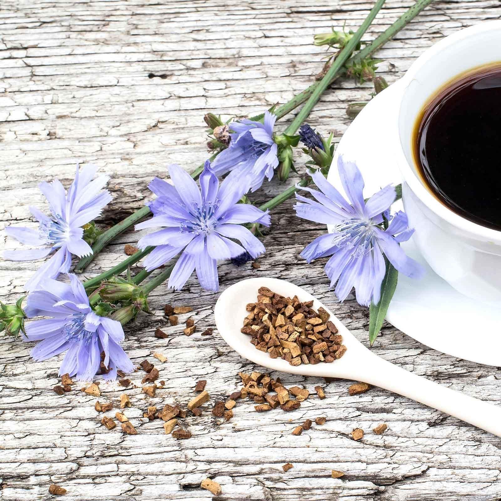 Eden Brothers Chicory Seeds - 1 Ounce - Blue Flower Seeds, Open Pollinated Seed Attracts Bees, Attracts Butterflies, Attracts Pollinators, Easy to Grow & Maintain, Culinary