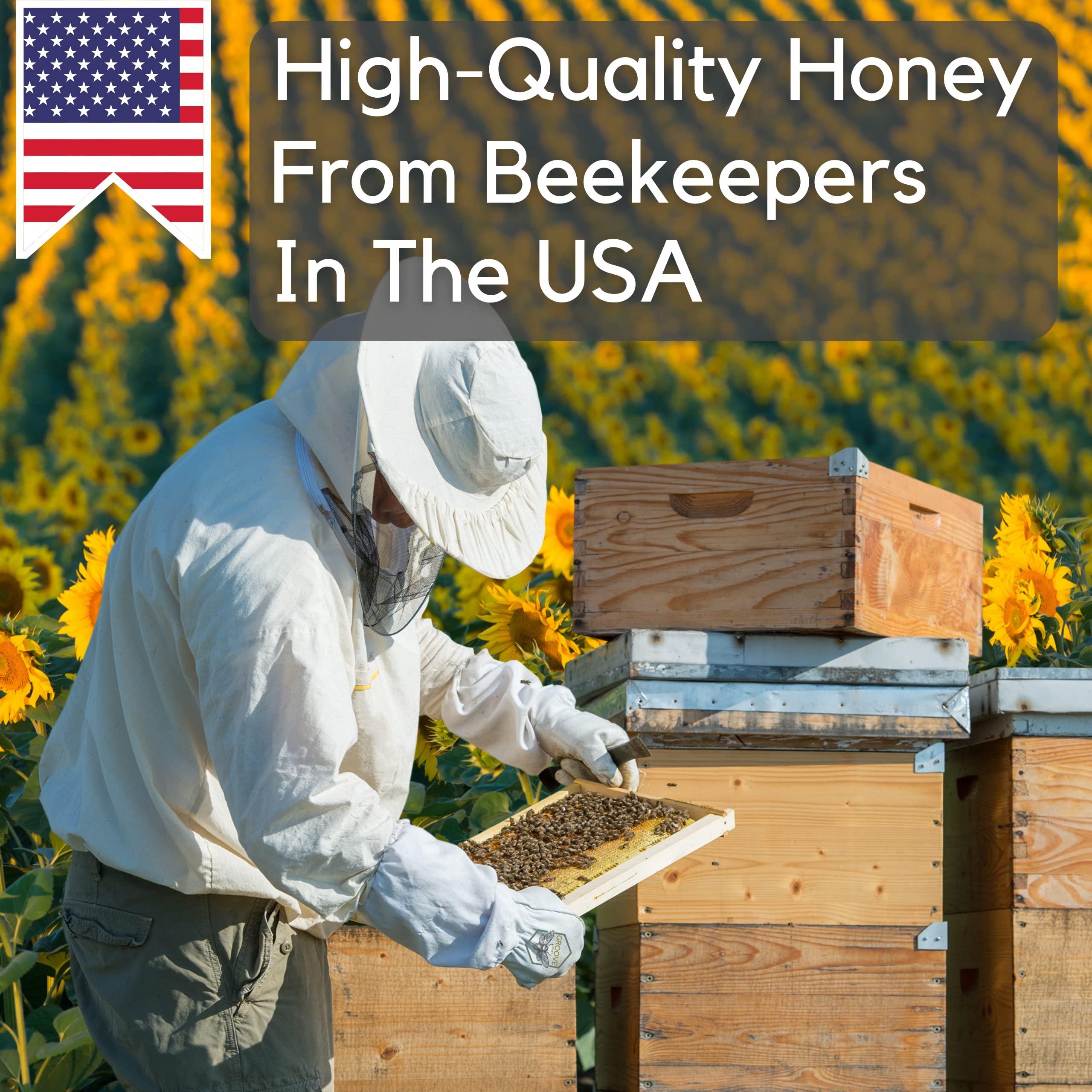 GROOVE HONEY Flavored Honey Sticks - Farm Fresh US Honey Packets for Tea, Travel, Kids - Variety Flavors