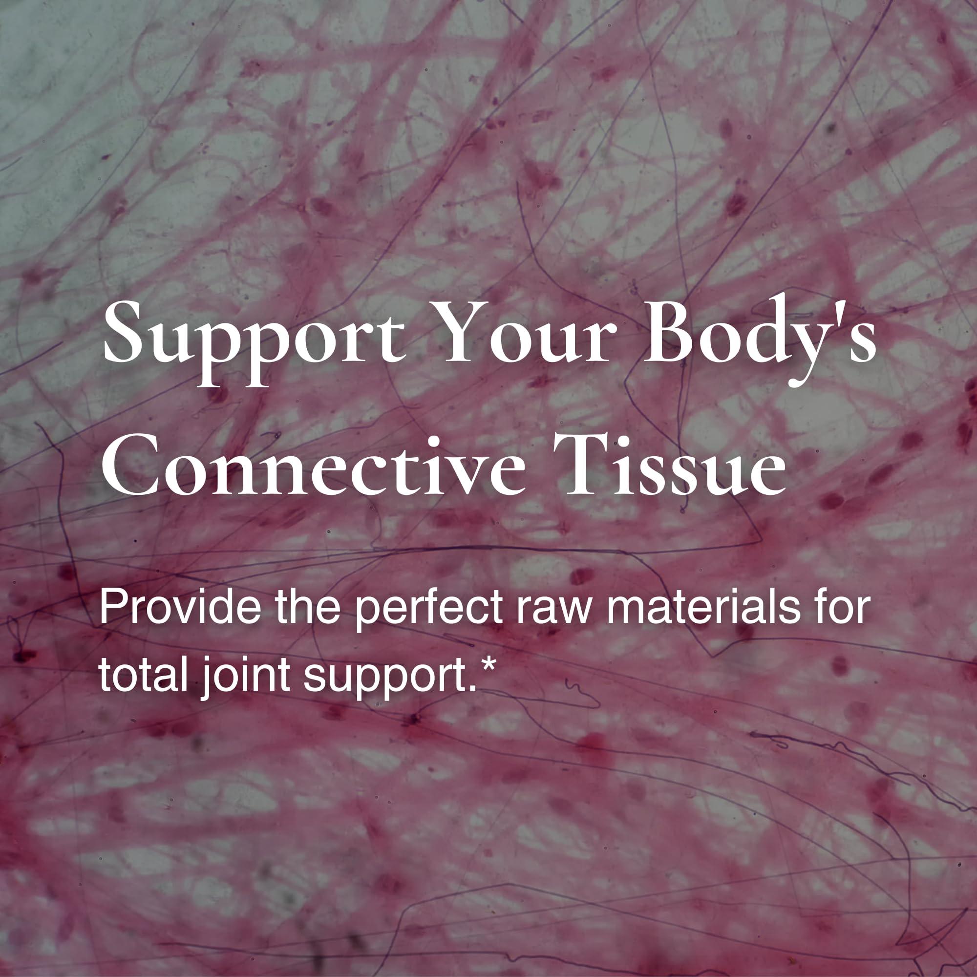 Utzy Naturals Utzy Naturals Coll-U-Gen | Joint Support Supplement | with Type II Undenatured Collagen (UC-II) & Fortigel | Unflavored Powder | 24 Servings