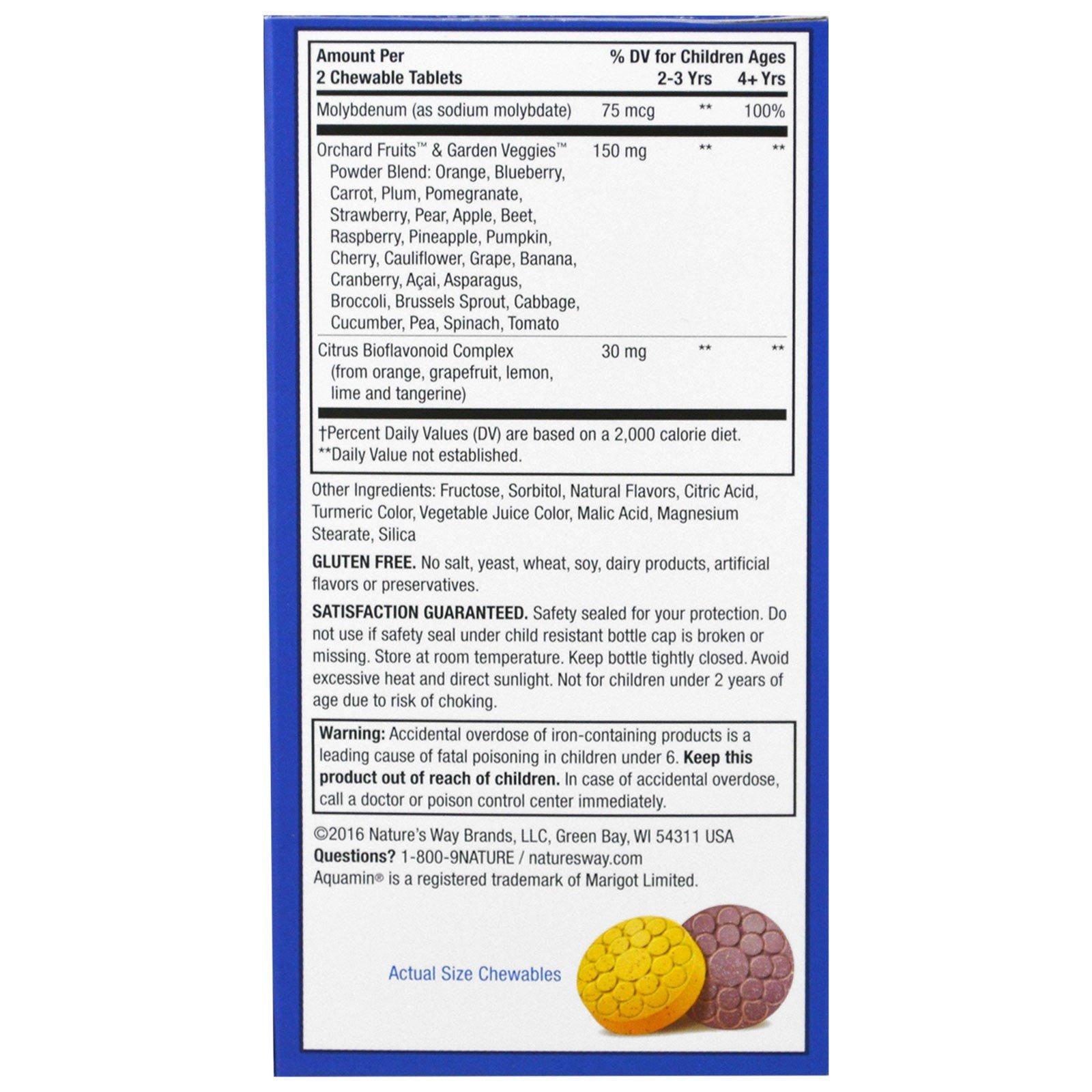 Nature\'s Way Nature\'s Way Alive Children\'s Multi-Vitamin Chewable Natural Orange and Berry - 120 Chewable Tablets