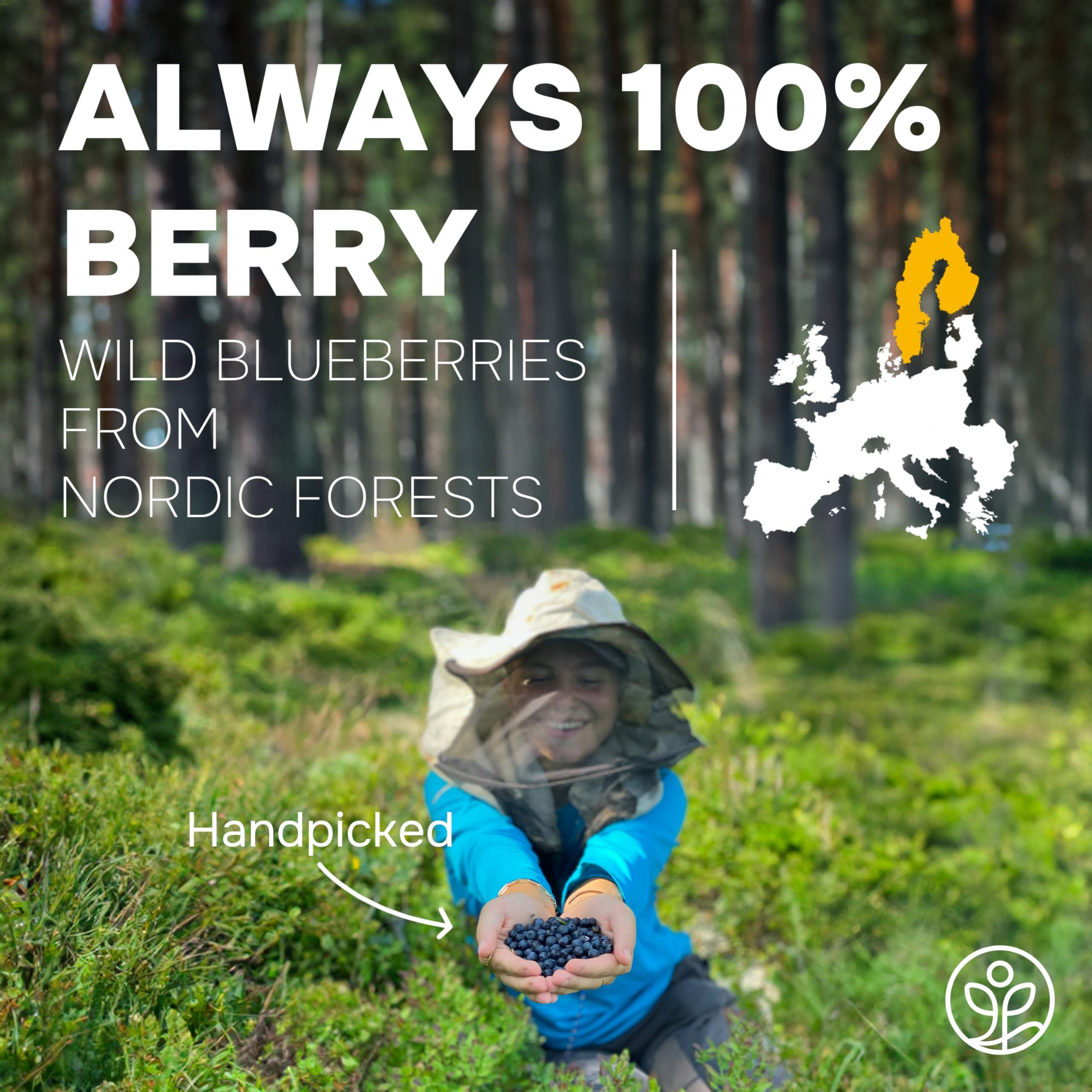 Jungle Powders Jungle Powders Wild Blueberry Powder 7 Ounce Bag, Nordic Freeze Dried Blueberries No Sugar Added For Smoothie, Additive and Filler Free Bilberry Fruit Superfood Powder For Baking Flavoring Cooking