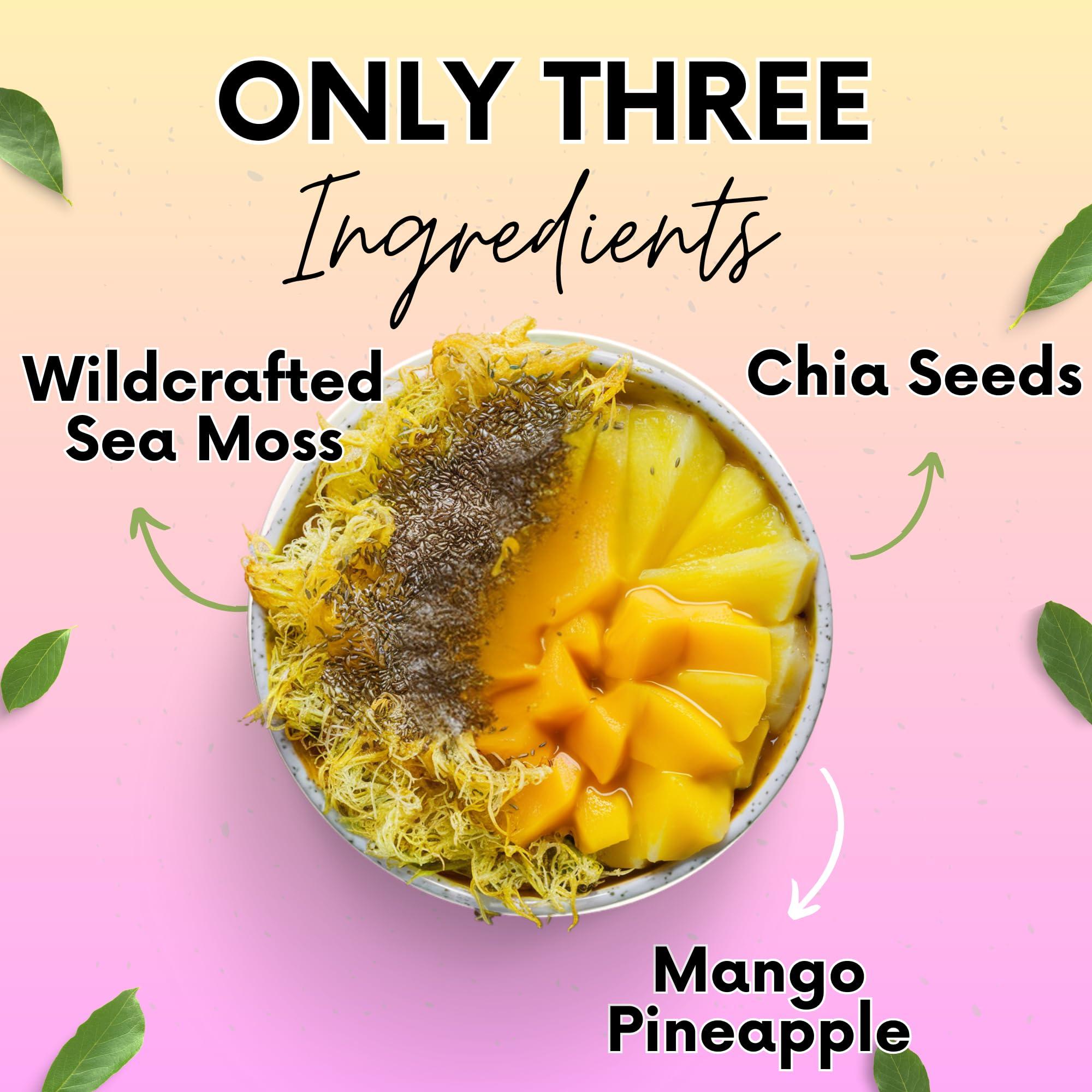 Halevit Sea Moss Gel with Ground Chia Seeds, Sea Moss Gel Organic Raw Natural Iodine Source, Omega-3, Immune & Digestive Support, Vegan Superfood, Mango Pineapple Flavor, Made in USA, 16 oz