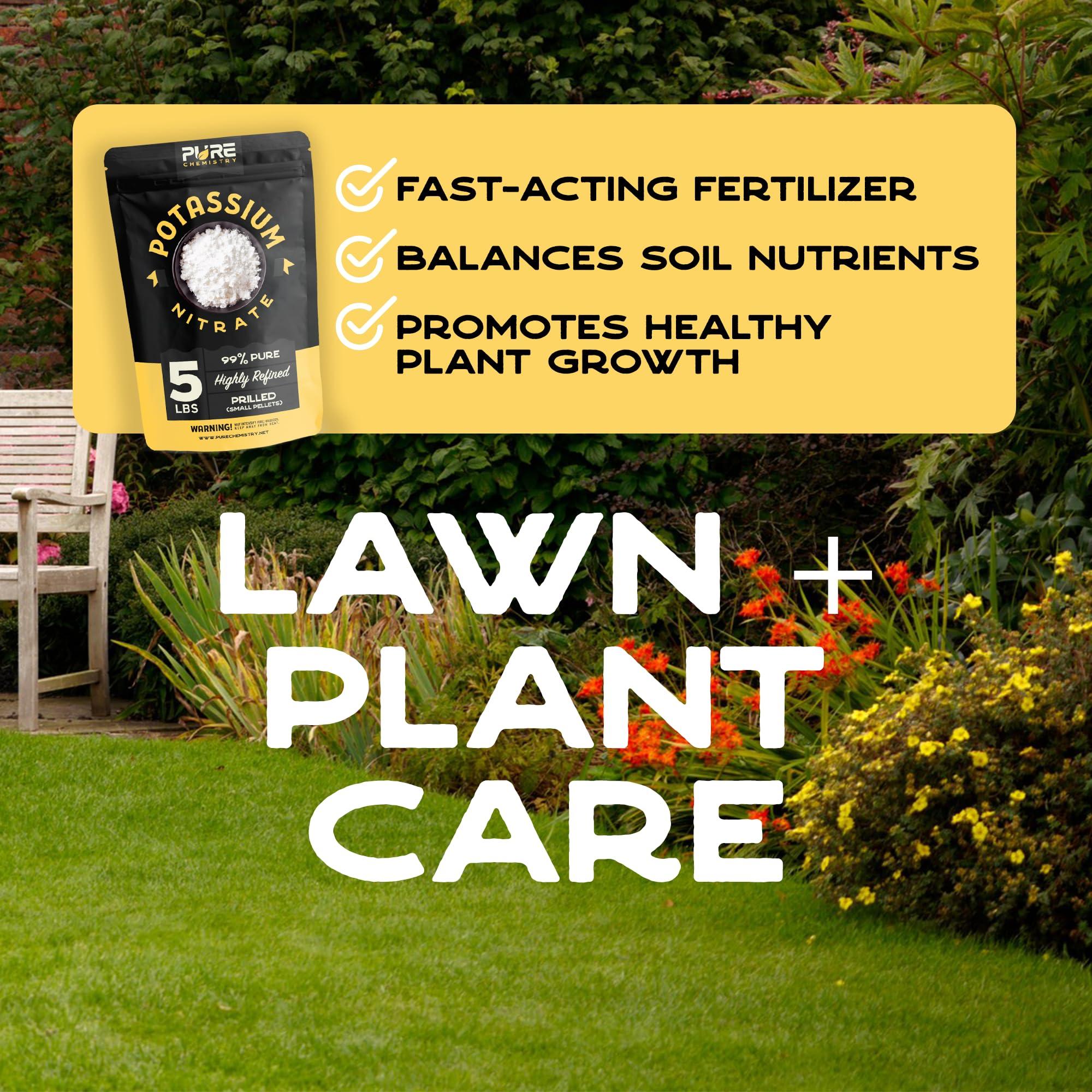 Ecoxall Ecoxall Prilled Potassium Nitrate Powder - 5 Pound - 99% Highly Refined - Multipurpose Uses - Use for Lawn Care, Tree Stump Removal and More - Tree Stump Remover - Industrial Grade Strength