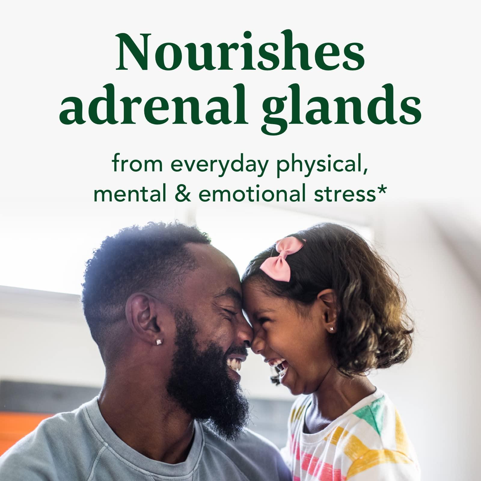 MegaFood MegaFood Adrenal Strength - Sensoril Ashwagandha, Vitamin C, fermented Magnesium Glycinate, Rhodiola Rosea, Reishi Mushroom & Food Blend - Supports a Normal Stress Response - 90 Tabs (45 Servings)