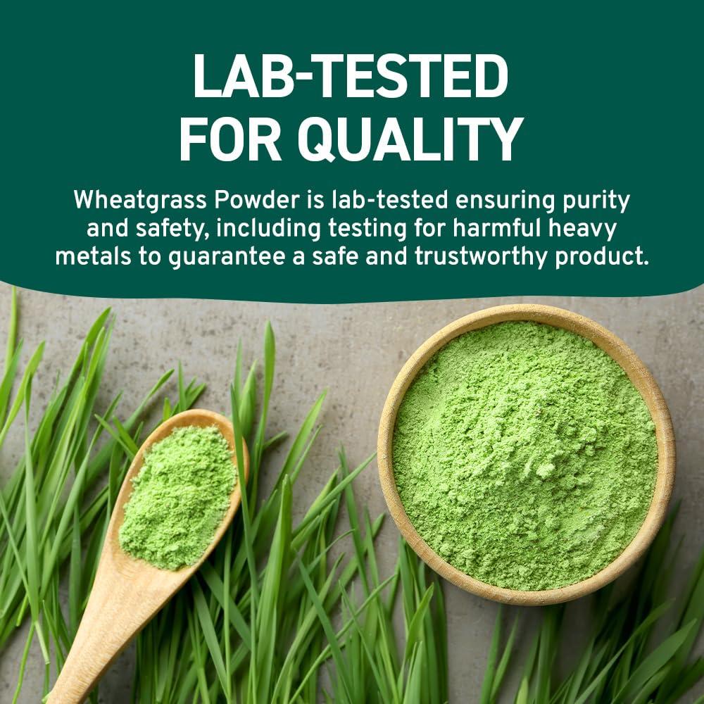 SPICE TRAIN USDA Organic Wheatgrass Powder (10oz) Rich Green Powder - Lab Tested | 100% Whole Leaf | Gluten Free, Non-GMO | No Sugar, No Artificial Ingredients | Resealable Ziplock Pouch
