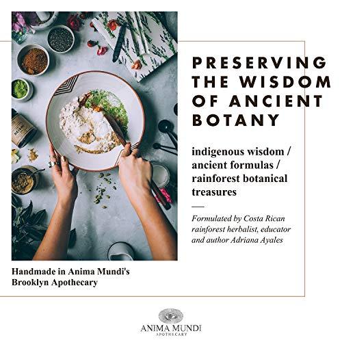 Anima Mundi Apothecary Anima Mundi Chaga Mushroom Powder - Organic Chaga Mushroom Powder - Immune System Support Supplement with Organic Chaga Extract Powder - Great for Tea, Coffee and More - Anima Mundi Supplements (5oz)