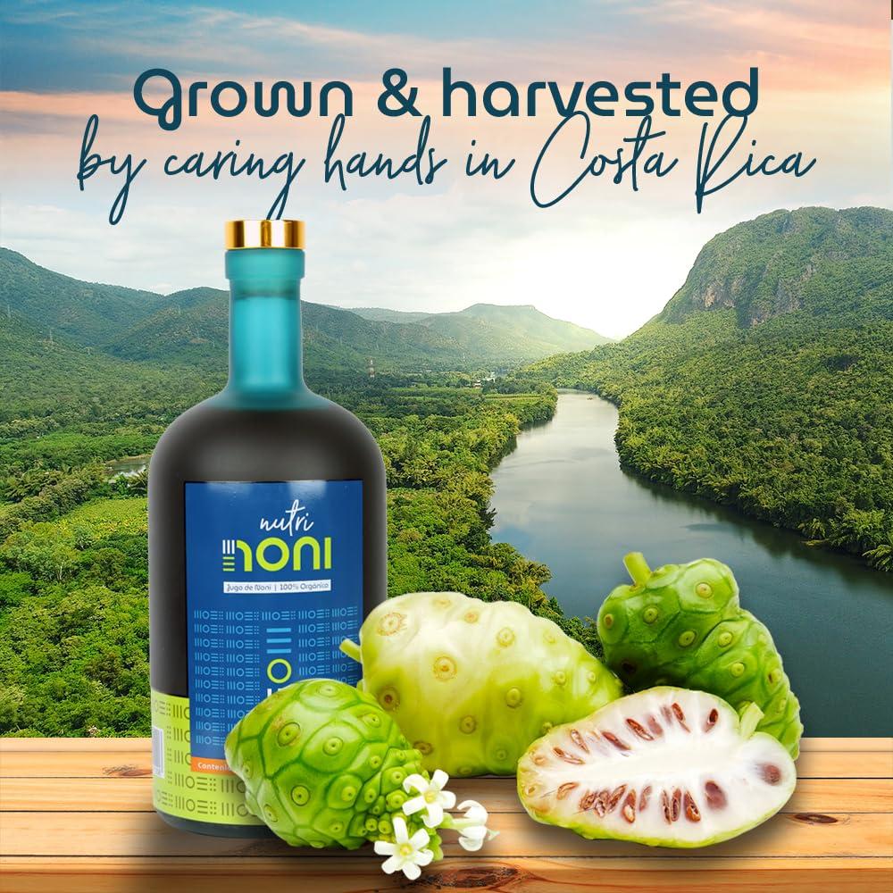 Nutri Noni Nutri Noni 100% pure USDA organic juice from Costa Rica Original Flavor No Added Fruit. 33.8 fl oz. One of nature\'s superfoods