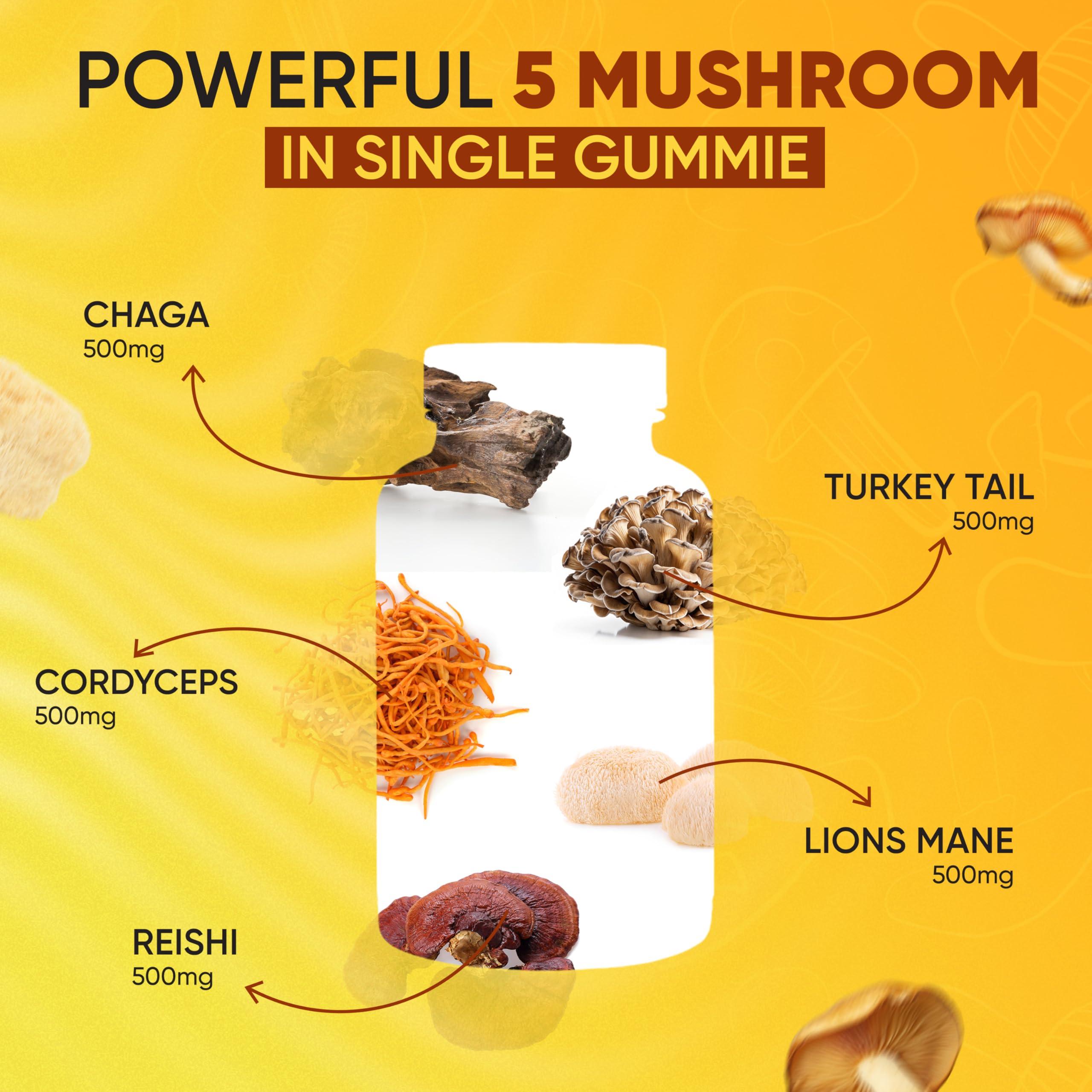 Happy Caps Happy Caps Functional Mushroom Gummies - Lions Mane, Cordyceps, Chaga, Reishi - Immune System Booster & Nootropic Brain Supplement - 60 Gummies (1)