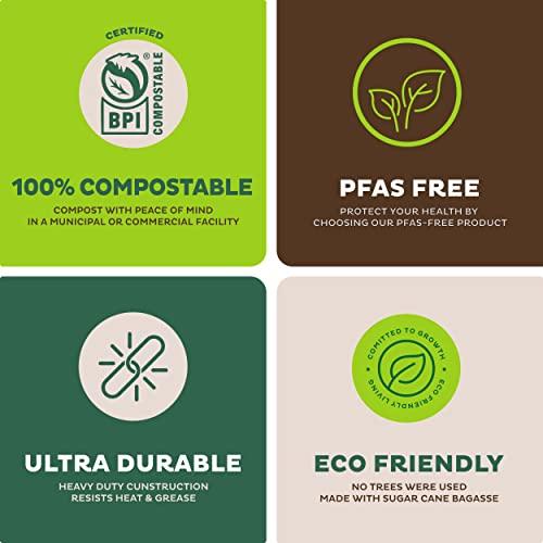 Stack Man 100% Compostable Paper Plates 9 Inch [500 Count] Heavy-Duty Dinner Plates - Natural Brown Color Unbleached Bagasse - Eco-Friendly Disposable Biodegradable Sugarcane Plates - [Bulk Case 4/125 Pack]