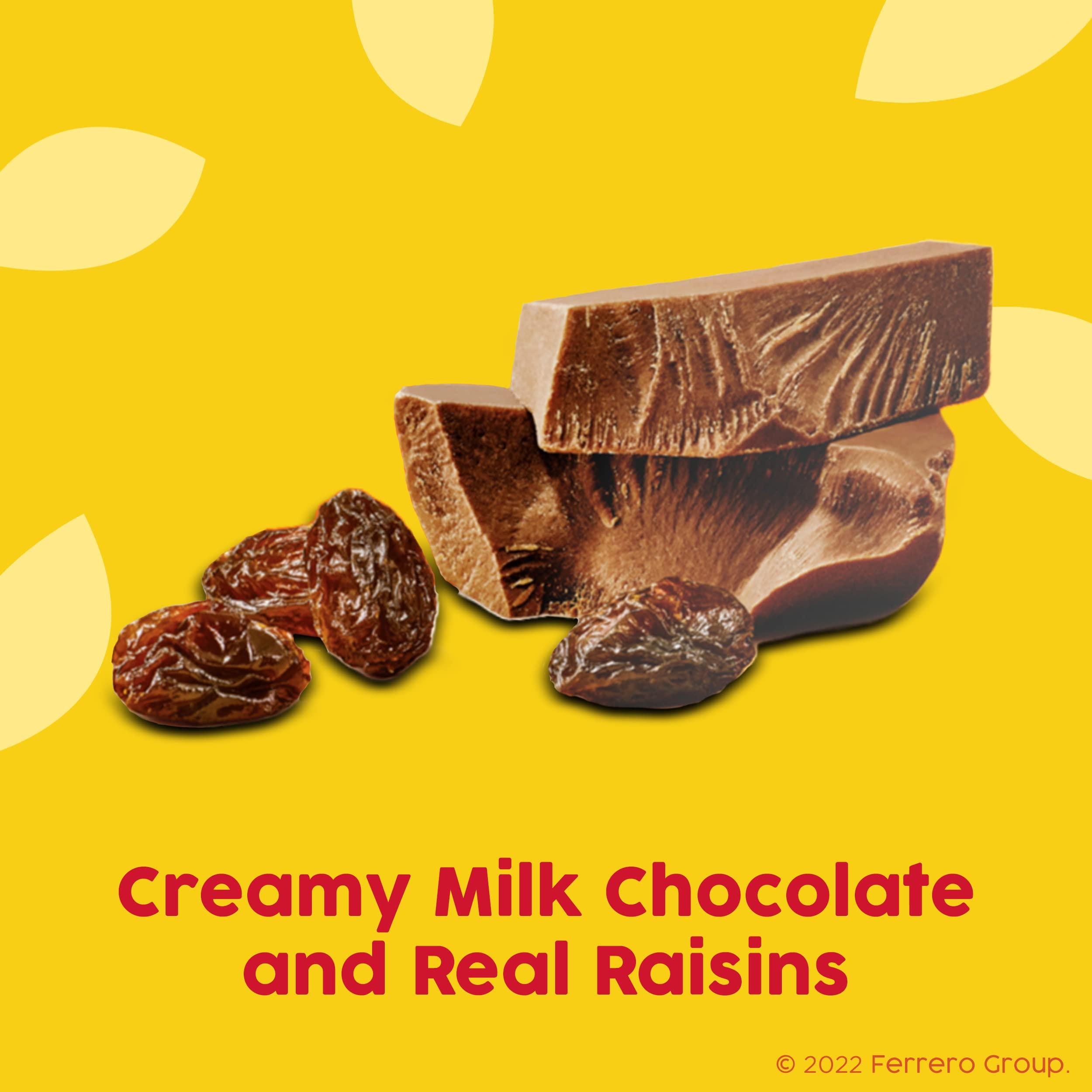 Raisinets Raisinets Milk Chocolate Covered Raisins - 8oz
