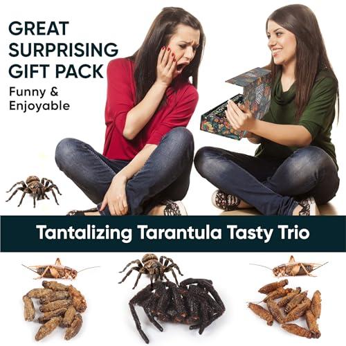Insnacc White Elephant Gifts For Adults - 0.78 Ounce Real Edible Flavored Insects For Humans, Funny Birthday Gifts, Weird Gifts (Tarantula & Assorted Bugs, Box of 3)