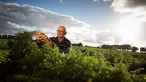 Unilever Continental Chinese Chicken & Corn Lots-a-noodles Soup 2 Serves 66gm