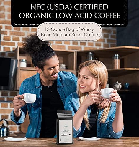 LIFEBOOST Lifeboost Coffee Whole Bean Hazelnut Coffee - Low Acid Single Origin Non-GMO Organic Coffee Beans - Third Party Tested For Mycotoxins & Pesticides - 12 Ounces