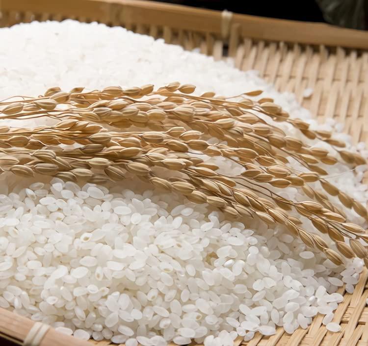 WagyuMaster Japan Top Ranking Ultra Premium Yamagata Yukiwakamaru, Milled Short Grain White Rice [100% Japan Rice] Special Corp, Japanese Extremely Rare - 11 Pound