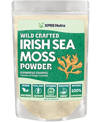 XPRS Nutra XPRS Nutra Irish Sea Moss Powder (Chondracanthus Chamissoi) - Premium Wildcrafted Seamoss Powder for Glowing Skin - Total Body Health Sea Moss Drink Powder - Vegan Friendly Irish Moss Powder (4 oz)