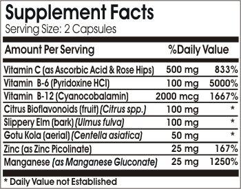 Pac-Kit Forestry Suppliers Logger's First Aid Kits, Plastic Case