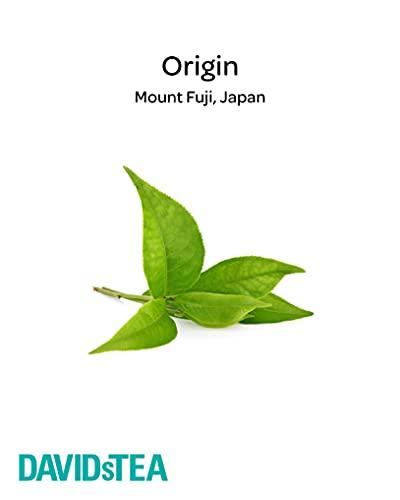 DAVIDsTEA DAVIDsTEA Organic Japanese Sencha Sachets Tea Bags, Premium Green Tea in 65 Sachet Tea Bags, 97.5 g / 3.43 oz